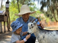 Những điểm đến ngập tràn sắc xanh cho gia đình có trẻ nhỏ