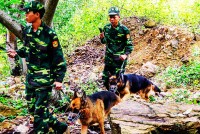 Vạn Ninh: Hiệu quả phong trào toàn dân bảo vệ chủ quyền, an ninh biên giới