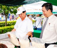 Ninh Hòa: Tập trung hỗ trợ các hợp tác xã