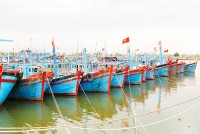 Ninh Hòa: Đánh bắt 11.238 tấn thủy hải sản các loại