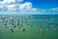 Phú Quốc và loạt điểm ngắm san hô đẹp nhất Việt Nam