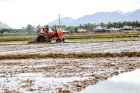 Cấp nước sản xuất thêm 800ha lúa tại Diên Khánh
