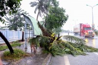 Khánh Hòa mưa to, nhiều nơi mất điện trước khi bão số 12 đổ bộ