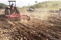 Công ty TNHH MTV Đường Biên Hòa - Ninh Hòa: Nhiều giải pháp cải tạo đất trồng mía