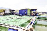 Ninh Hòa giải quyết khó khăn cho người nuôi trồng thủy sản