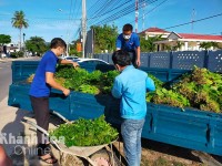 TP. Cam Ranh: 1.500 bó rau xanh đến người dân khu phong tỏa