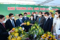 Bắc Giang: Xúc tiến tiêu thụ cam, bưởi và các nông sản chủ lực, đặc trưng