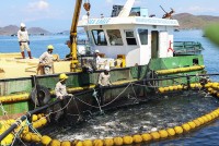 Nuôi biển công nghiệp: Tìm hướng phát triển bền vững