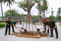 Trường Sĩ quan Thông tin phát động Tết trồng cây "Đời đời nhớ ơn Bác Hồ"