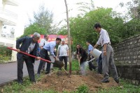 Trường Đại học Nha Trang trồng hơn 400 cây xanh