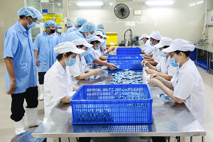 Hoạt động sản xuất tại Nhà máy Thực phẩm cao cấp SanestFood (Công ty TNHH Nhà nước Một thành viên Yến sào Khánh Hòa).