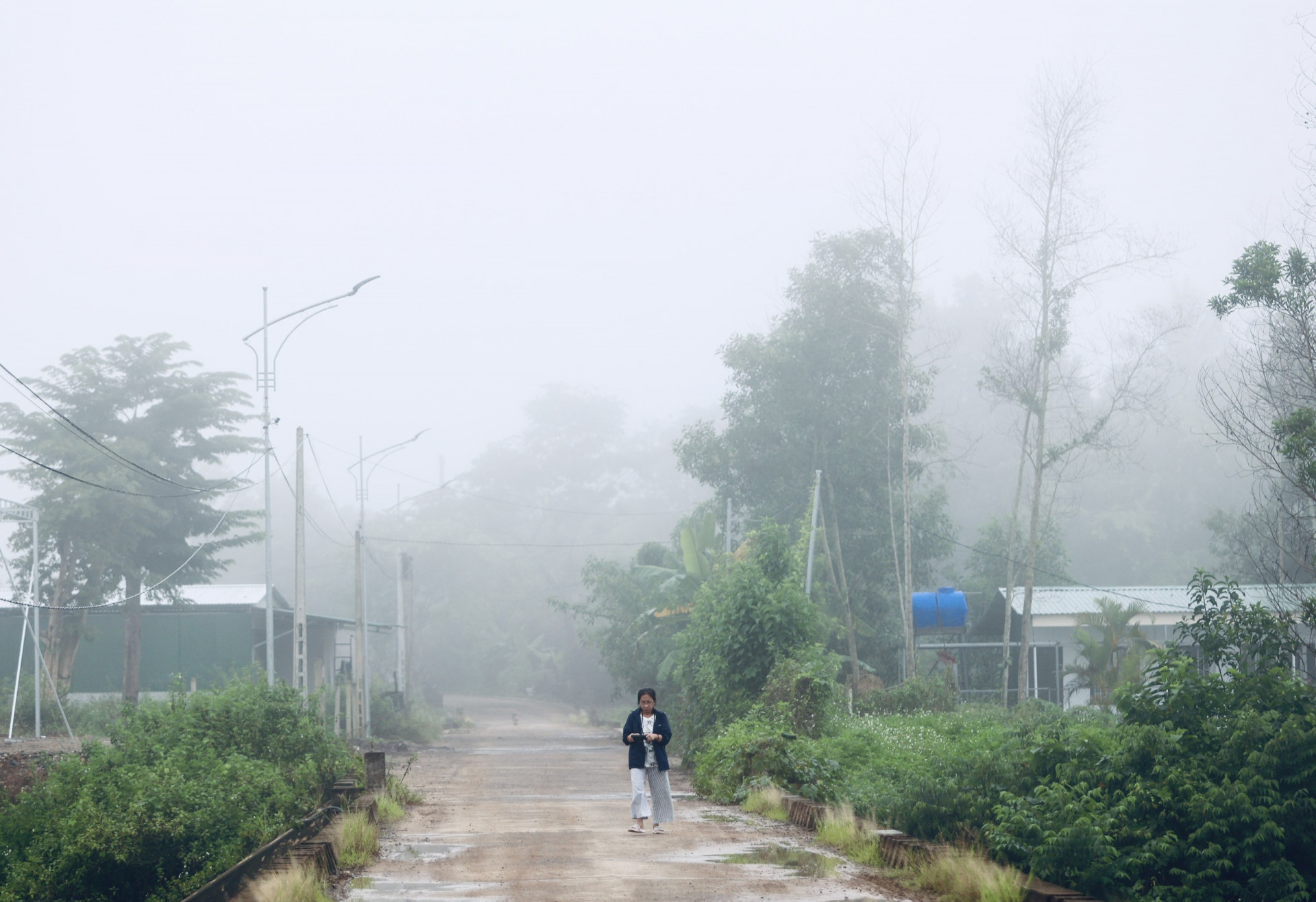 Sáng sớm sương mù ở Tà Nỉa, xã Sơn Trung.