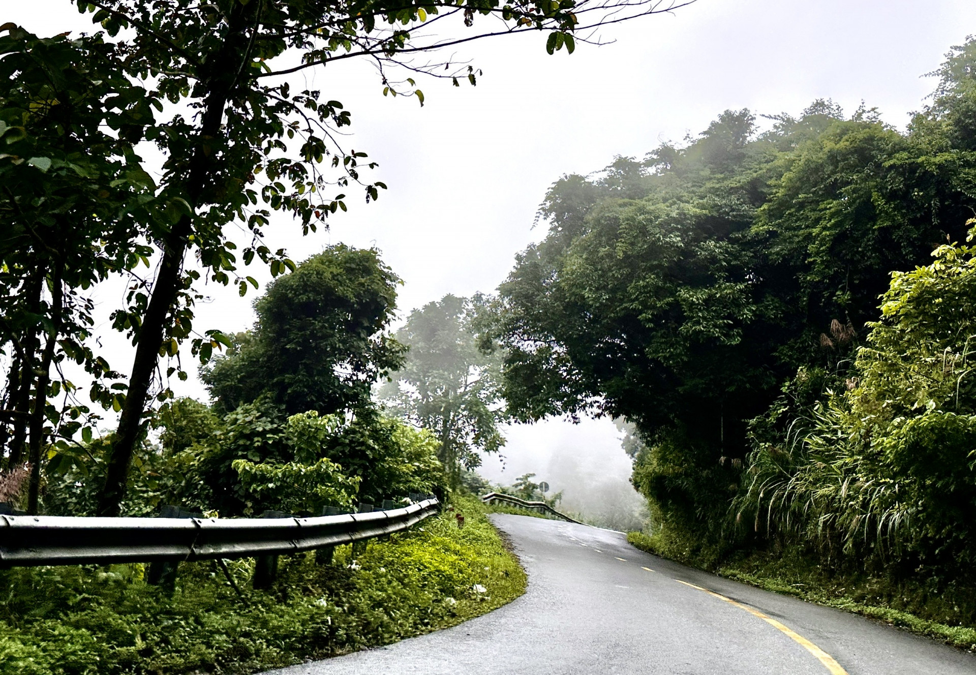 Một khúc cua trên đèo Khánh Sơn. 