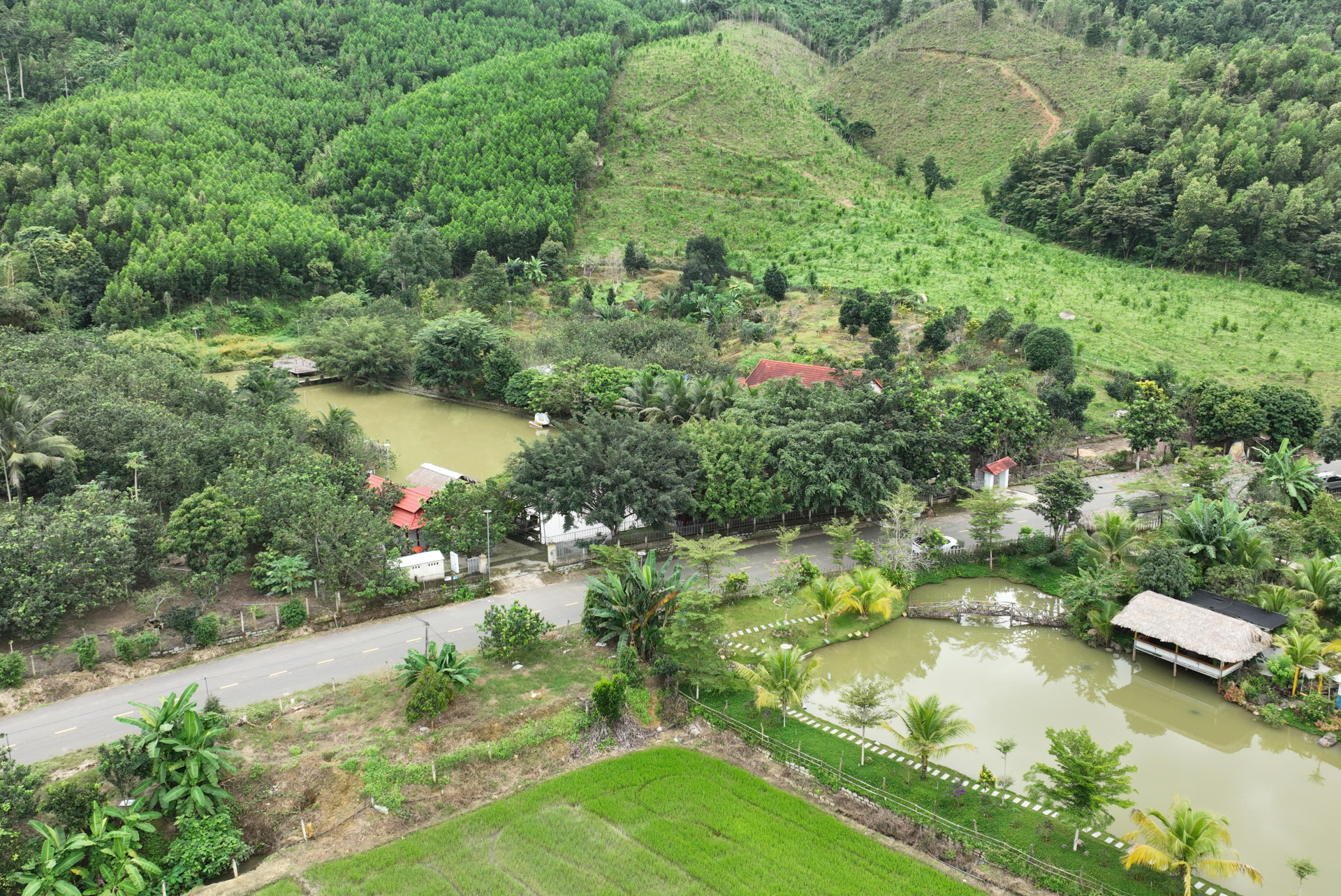 Khu vườn của ông Trương Thanh Hoan ở thôn Ngã 2, xã Khánh Phú.